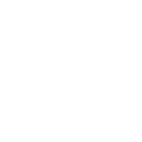 svg icon