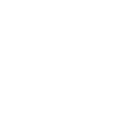 svg icon