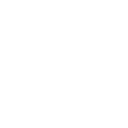 svg icon