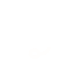 svg icon
